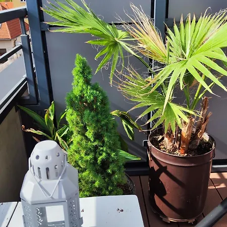 アパート Barber's Home, Free Private Parking コシツェ